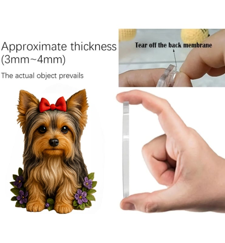 Yorkshire terier Sweet Wonderland | Adventni koledar 2025