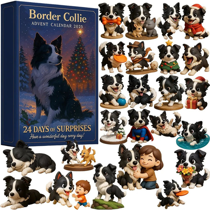 Border collie | Adventni koledar 2025