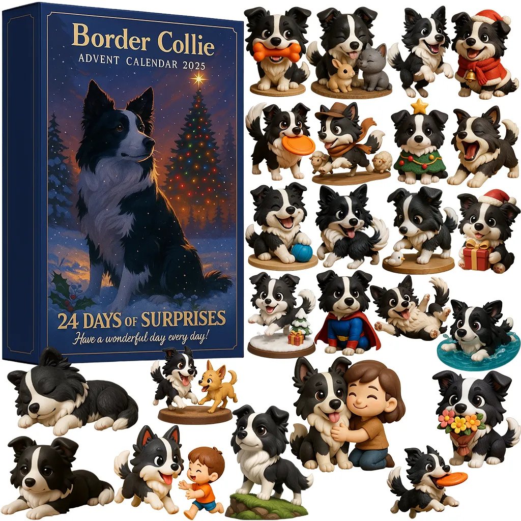 Border collie | Adventni koledar 2025